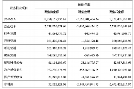 饶河工资清欠服务